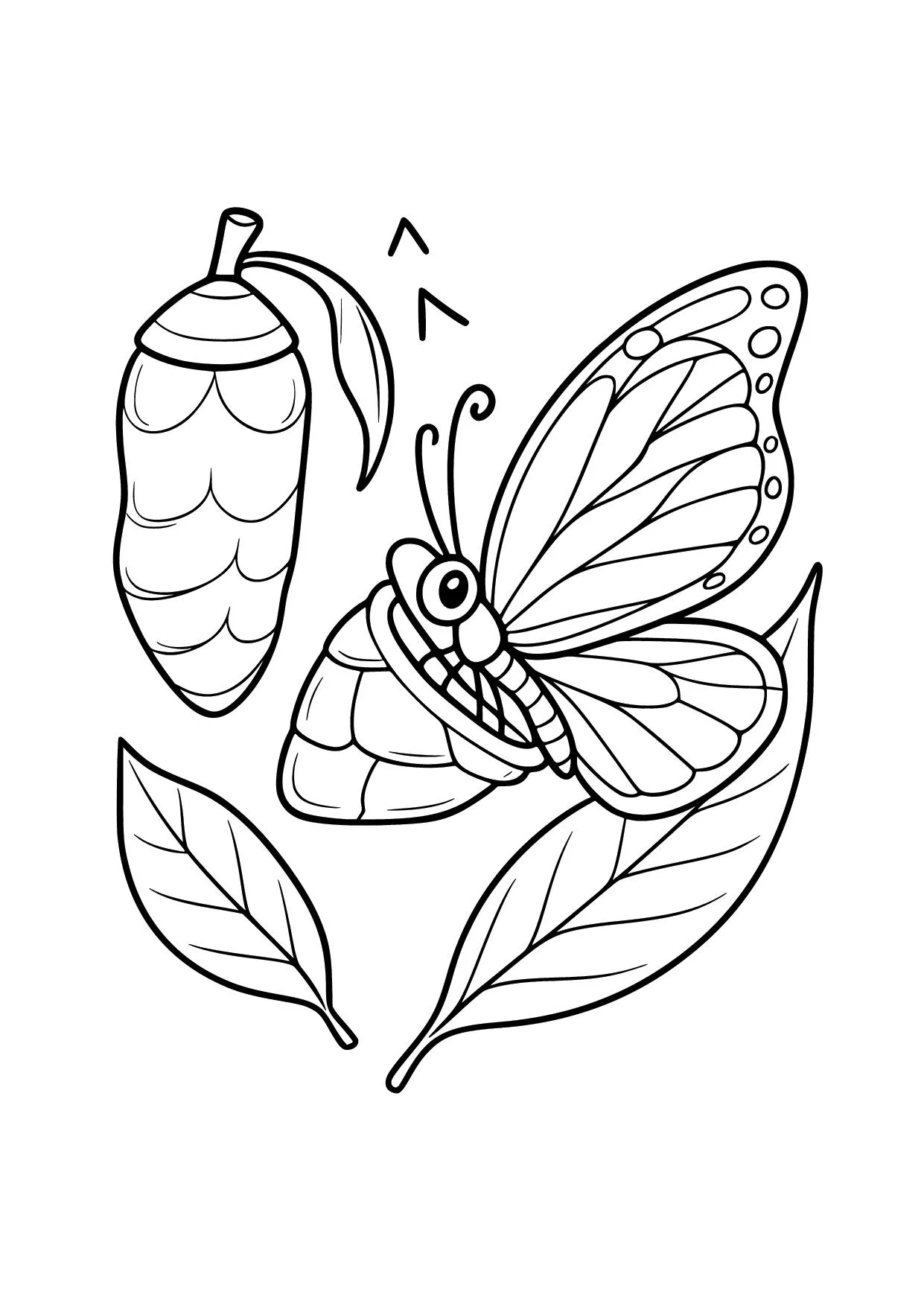 Gambar Mewarnai Kupu-Kupu dan Kepompong