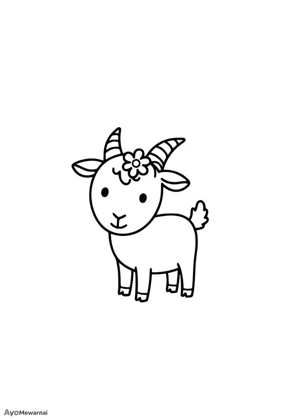 Gambar Mewarnai Anak Kambing Yang Lucu
