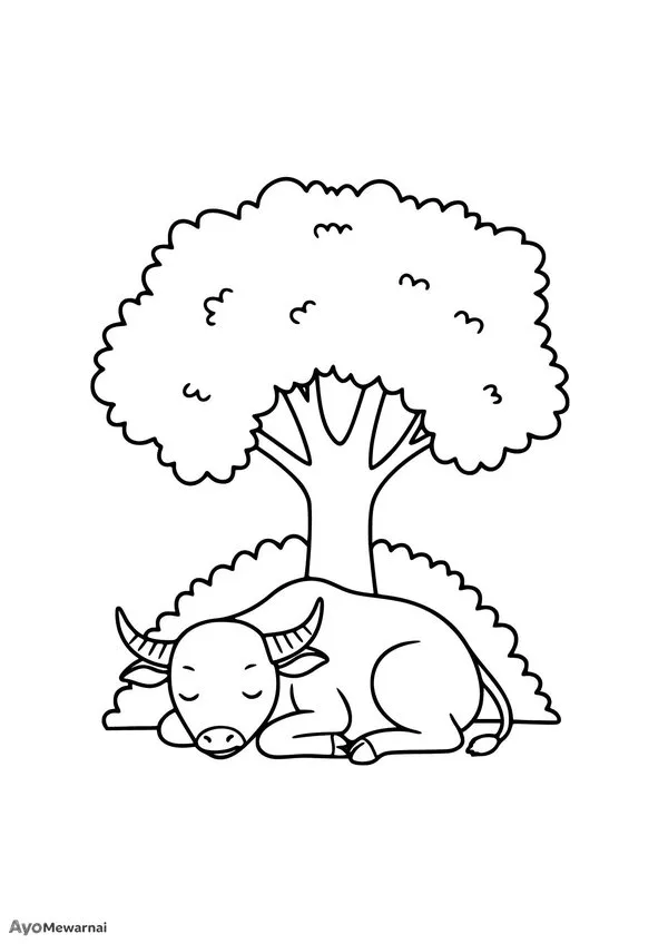 Gambar Mewarnai Anak Kerbau tidur