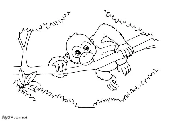 Gambar Mewarnai Anak Orangutan Bermain