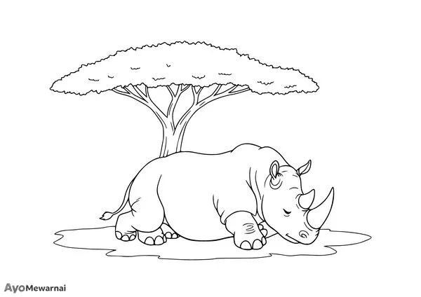 Gambar Mewarnai Badak Tidur Siang