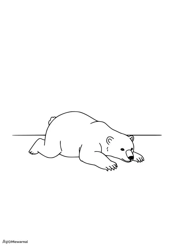 Gambar Mewarnai Beruang Bermalas Malas