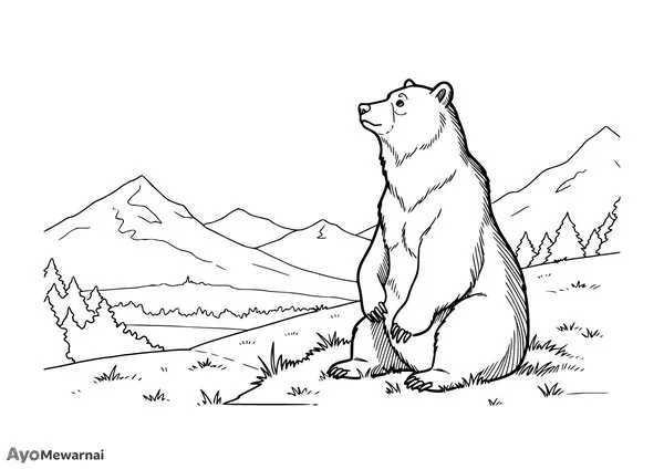Gambar Mewarnai Beruang di Pegunungan