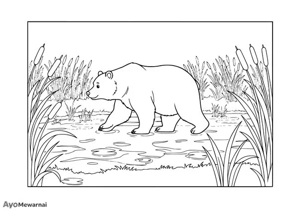 Gambar Mewarnai Beruang di Rawa-rawa