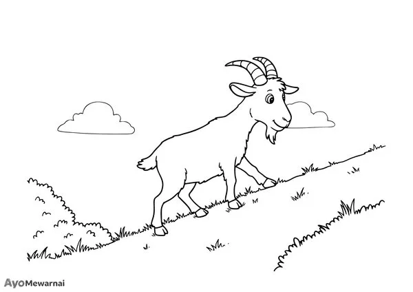 Gambar Mewarnai Kambing Berjalan di Lereng
