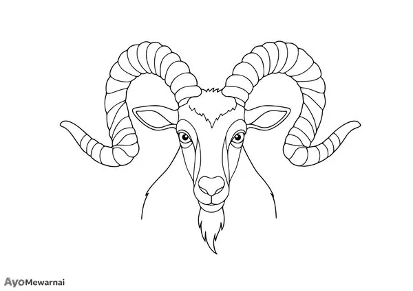 Gambar Mewarnai Kambing Jantan dengan Tanduk