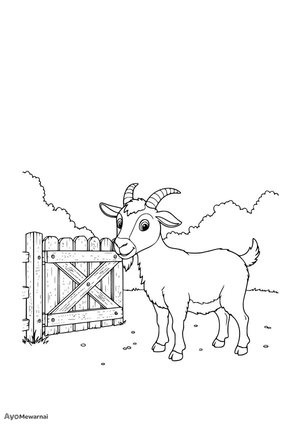 Gambar Mewarnai Kambing Keluar Kandang