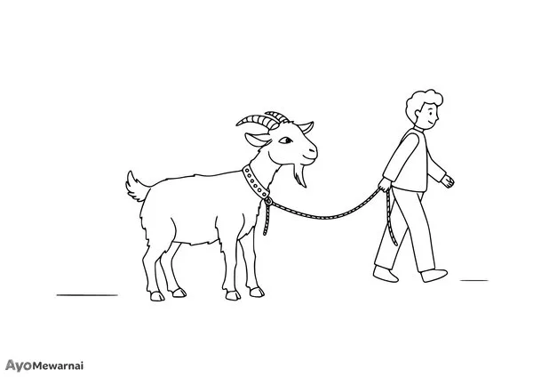 Gambar Mewarnai Kambing dan Penggembala