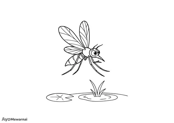 Gambar Mewarnai Nyamuk di Genangan Air