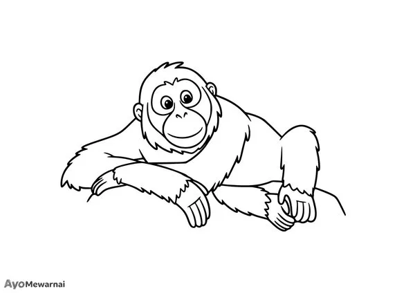 Gambar Mewarnai Orangutan Berjemur