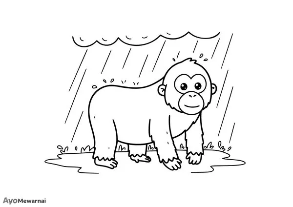 Gambar Mewarnai Orangutan Kehujanan