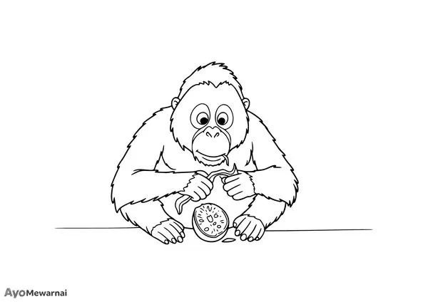 Gambar Mewarnai Orangutan Mengupas Buah