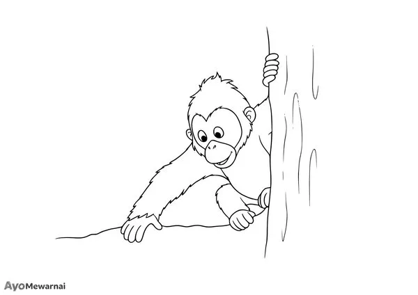 Gambar Mewarnai Orangutan di Balik Pohon