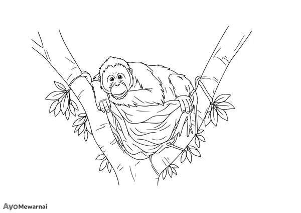 Gambar Mewarnai Orangutan di Sarang Pohon