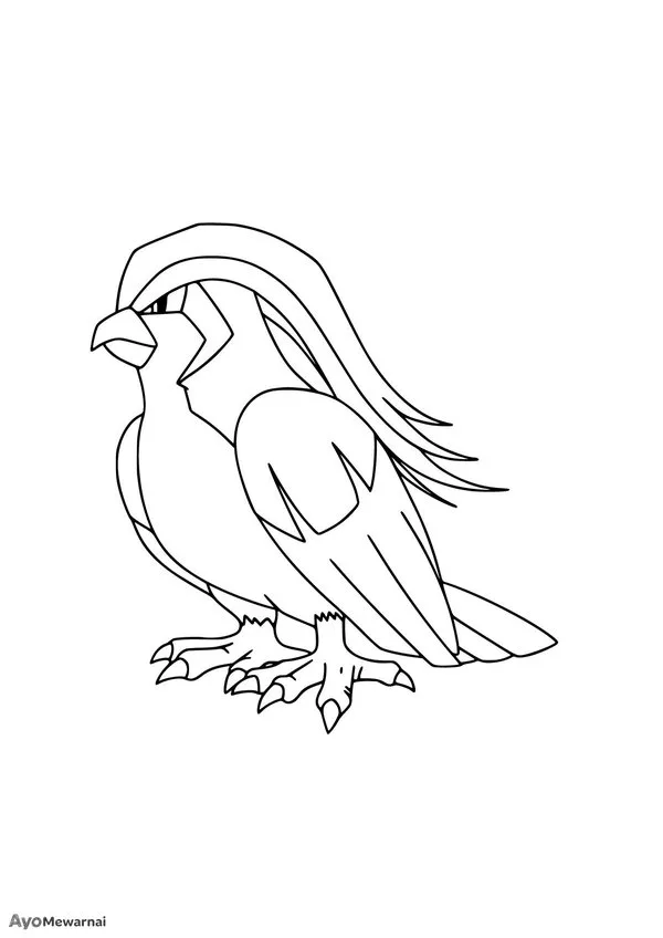 Gambar Mewarnai Pidgeot Si Pokémon Burung